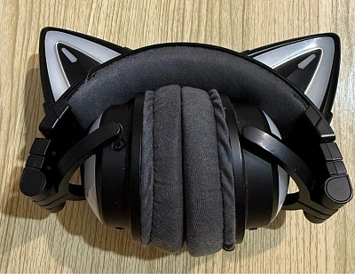 R1